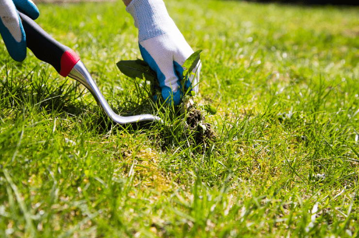 Mountain View Property Management Group